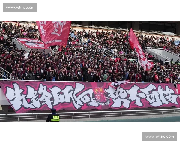辽宁铁人惊现 “穿越球迷”!全网寻人:你来自哪个时代?
